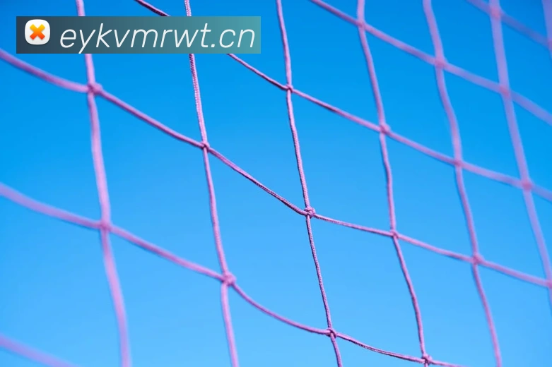 星空网网页版入口APP 高清赛事图